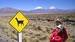 Dvojčici na zahodu Bolivije